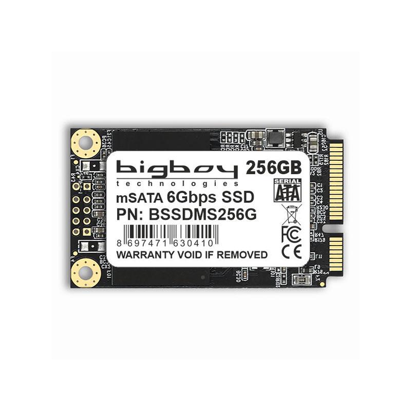Bigboy 256GB mSata Sata 3 SSD BSSDMS256G